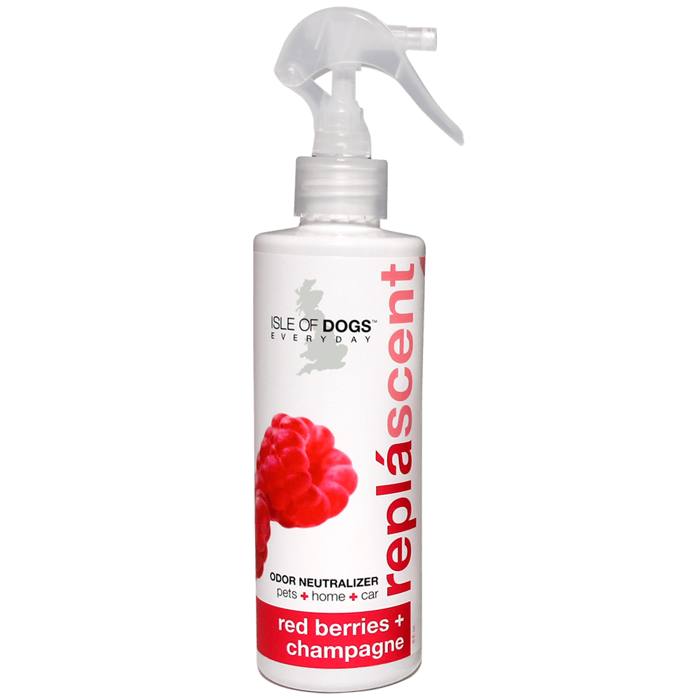 Isle of Dogs® Everyday Red Berries + Champagne Repláscents Odor Neutralizing Spray - Groomersbuddy