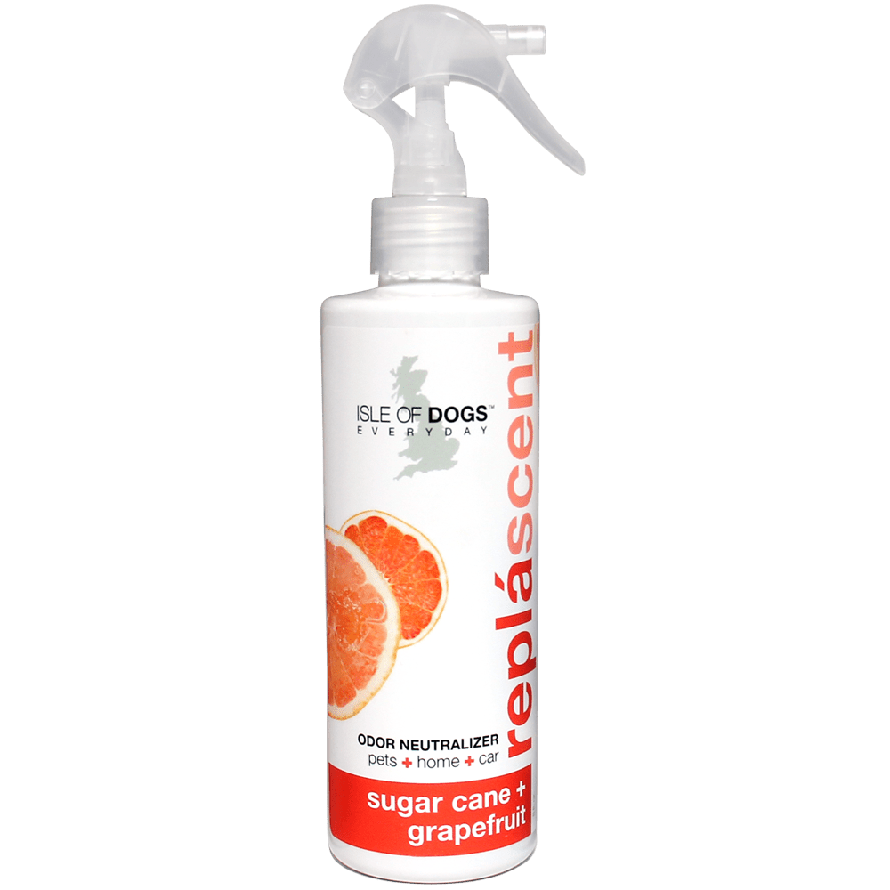 Isle of Dogs® Everyday Sugar Cane + Grapefruit Repláscents Odor Neutralizing Spray - Groomersbuddy